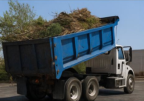 Yard waste and debris hauling